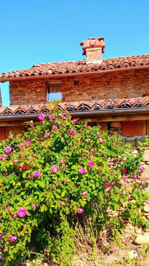 SalicetoCascina Boschetto住宿加早餐旅馆 外观 照片