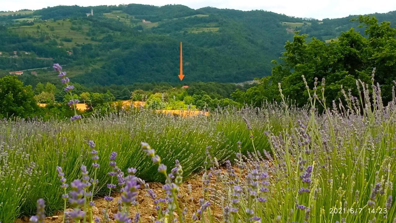 SalicetoCascina Boschetto住宿加早餐旅馆 外观 照片