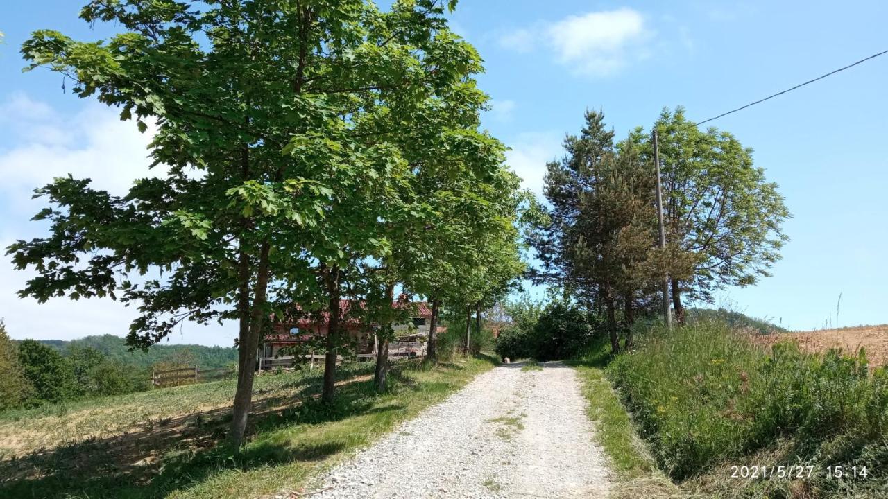 SalicetoCascina Boschetto住宿加早餐旅馆 外观 照片