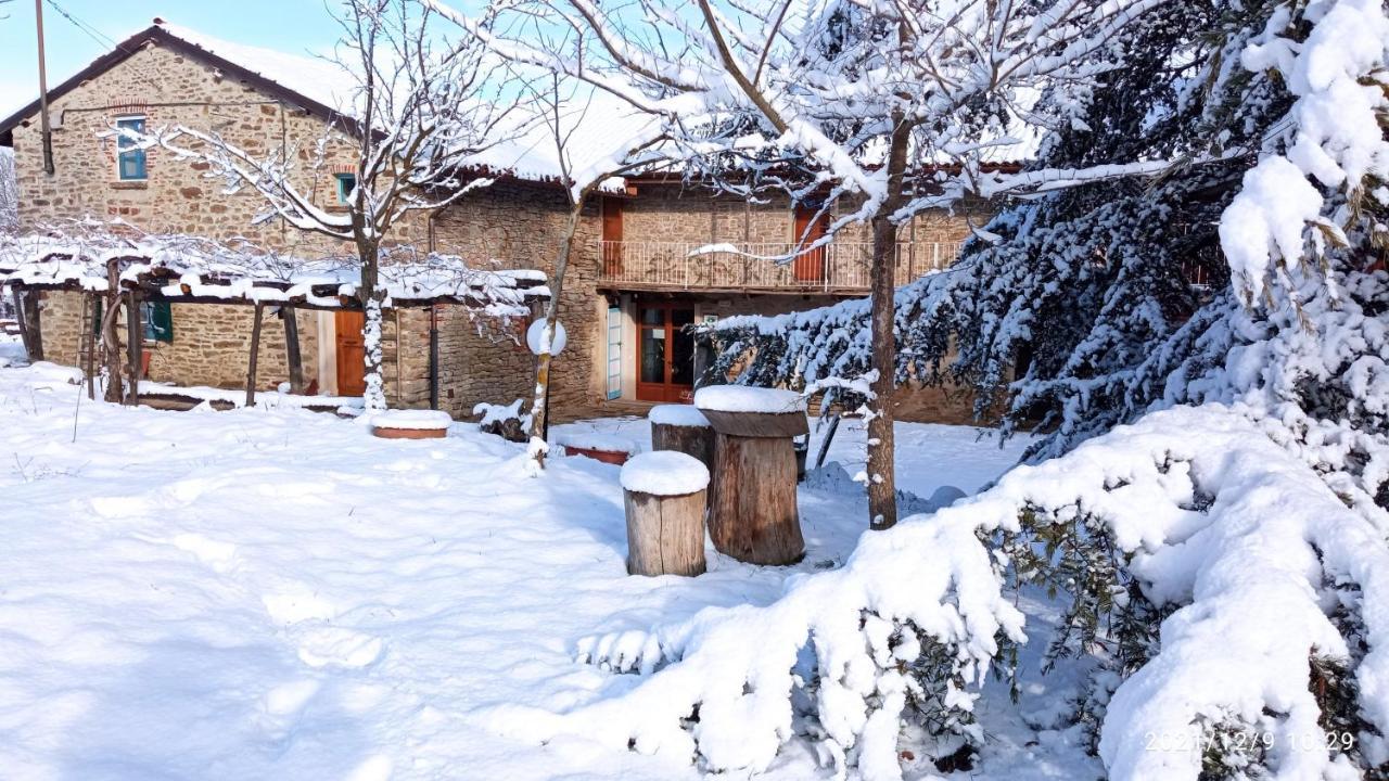 SalicetoCascina Boschetto住宿加早餐旅馆 外观 照片