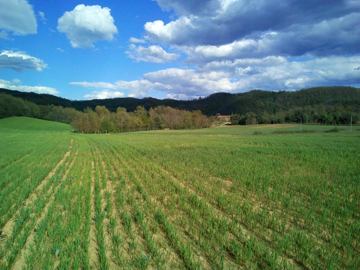 SalicetoCascina Boschetto住宿加早餐旅馆 外观 照片