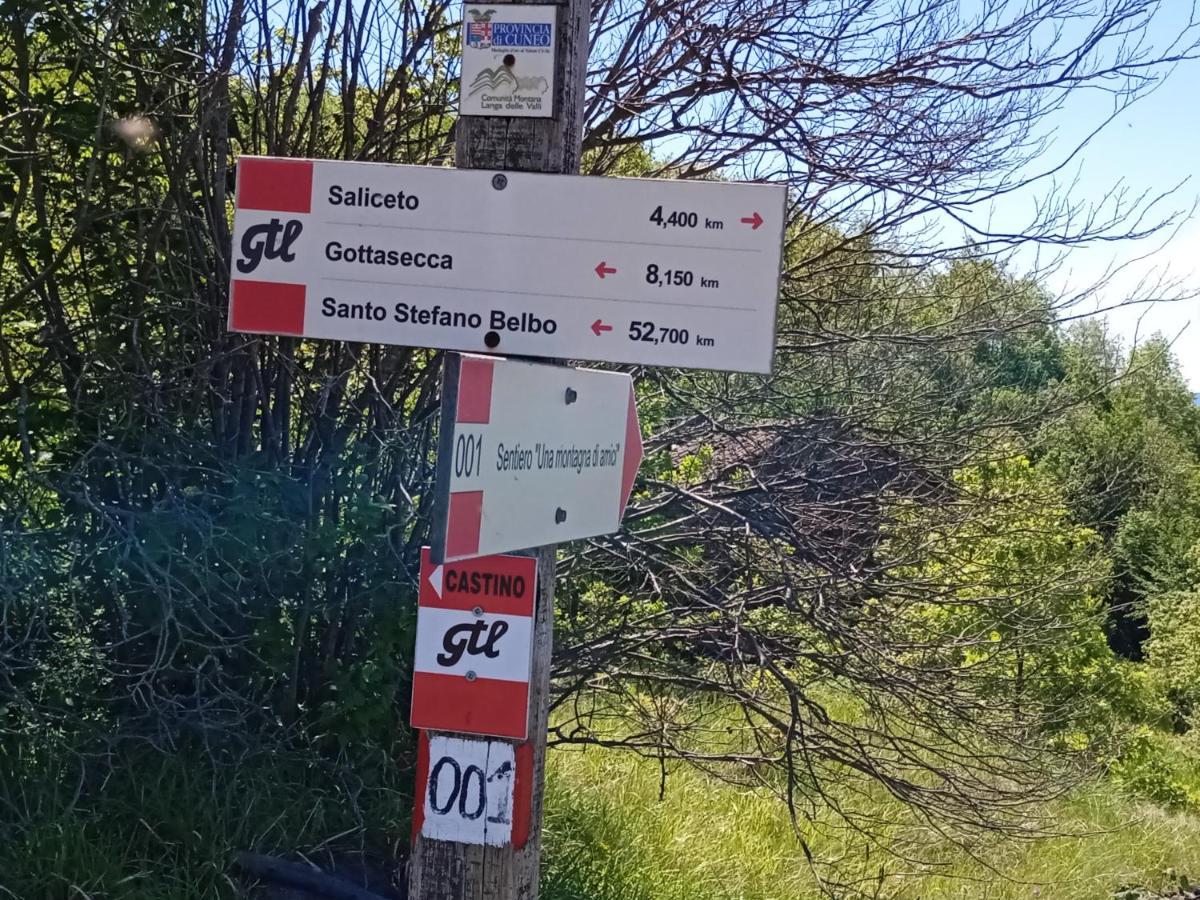 SalicetoCascina Boschetto住宿加早餐旅馆 外观 照片