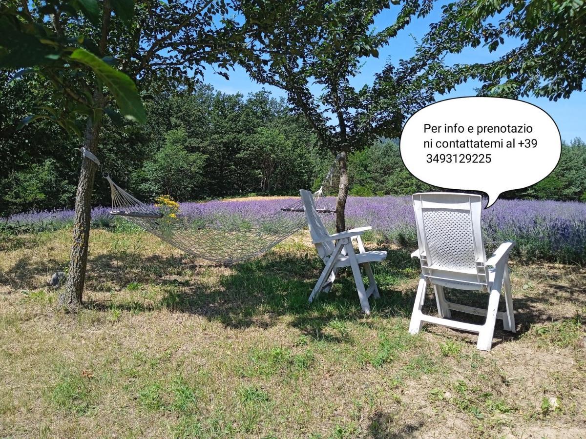 SalicetoCascina Boschetto住宿加早餐旅馆 外观 照片