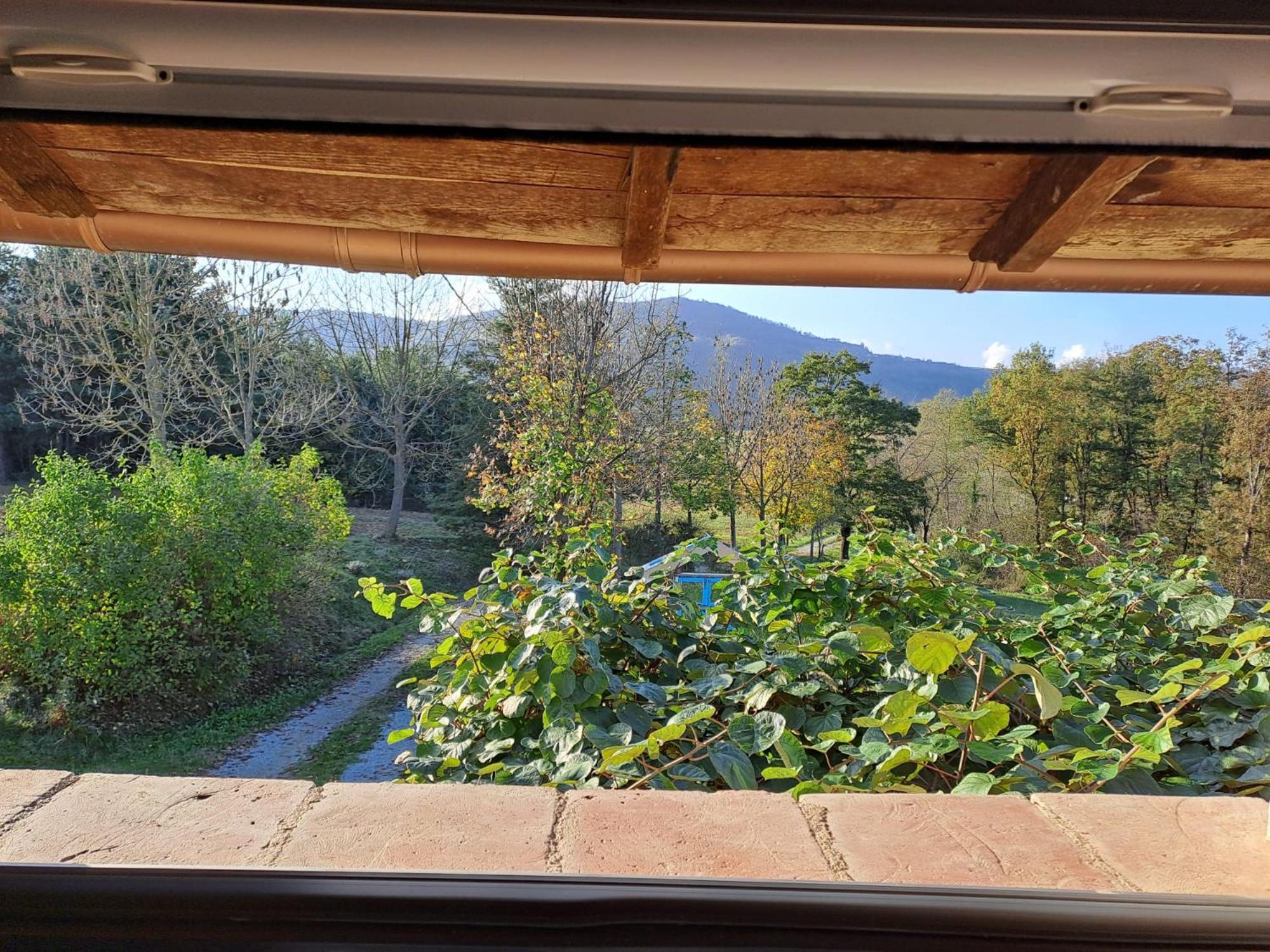 SalicetoCascina Boschetto住宿加早餐旅馆 外观 照片