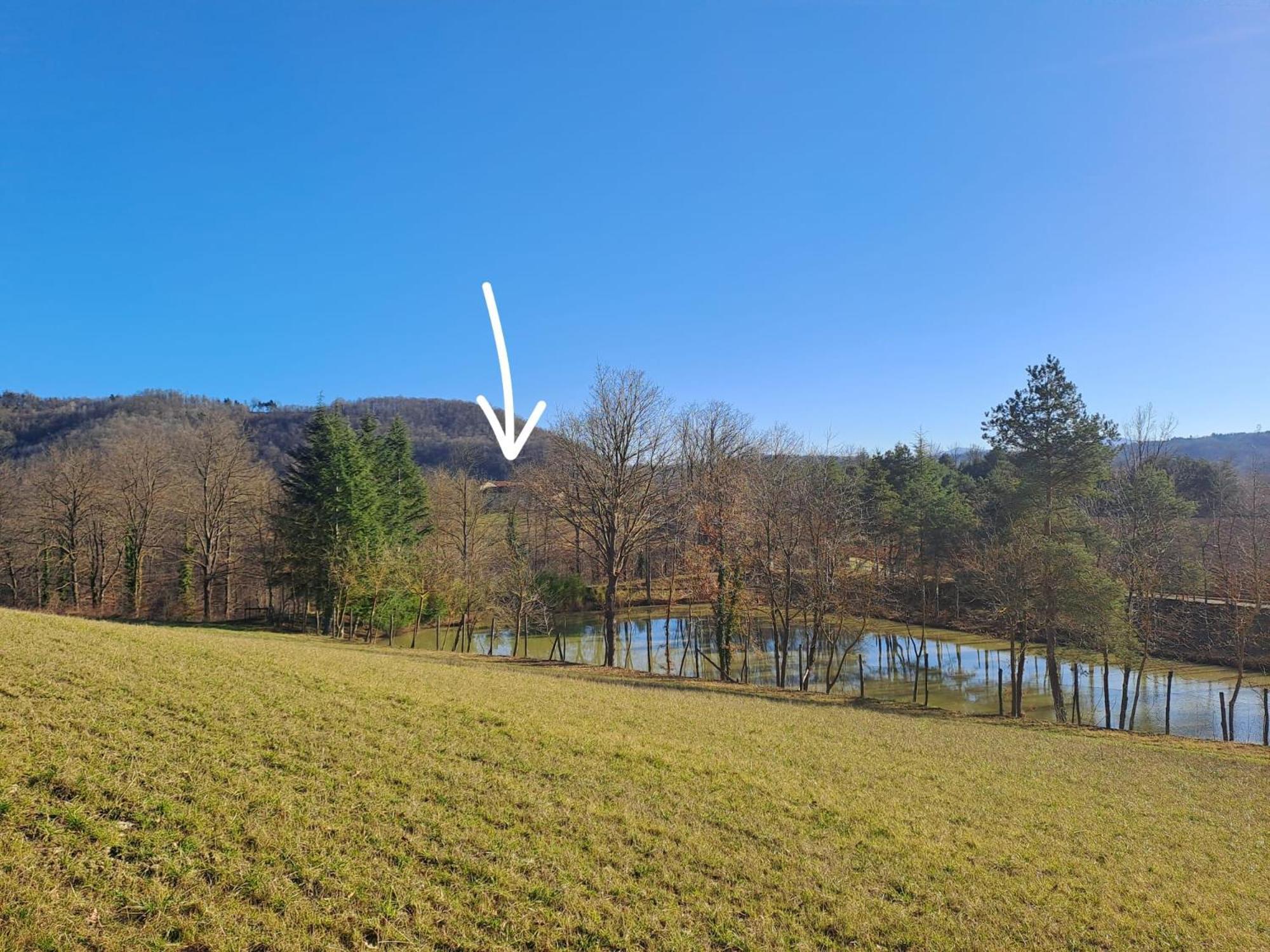 SalicetoCascina Boschetto住宿加早餐旅馆 外观 照片